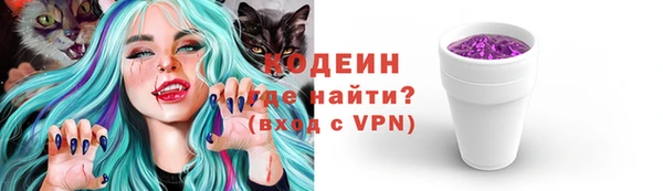 молекула духа Сясьстрой