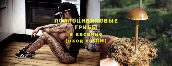 твердый Тобольск