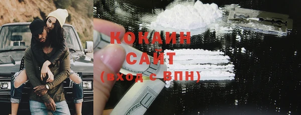 молекула духа Сясьстрой