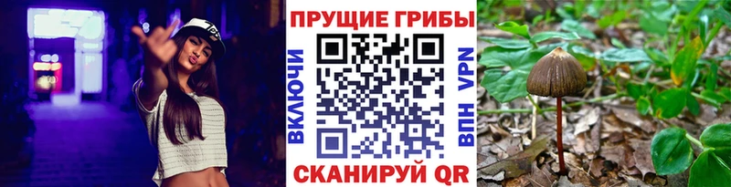 купить закладку  Иркутск  Псилоцибиновые грибы Magic Shrooms 